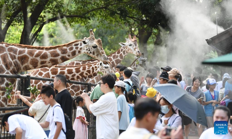 Giraffes are cooled off under water spray at the Guangzhou Zoo in Guangzhou, south China's Guangdong Province, July 13, 2023. The zoo has taken various measures to cool the animals during the summer heat in Guangzhou.(Photo: Xinhua)