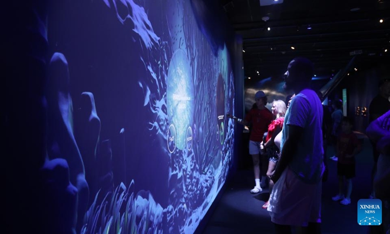 People visit an exhibition titled Sharks! The Meg, The Monsters & The Myths held at the Houston Museum of Natural Science in Texas, the United States, July 23, 2023. (Xinhua/Xu Jianmei)