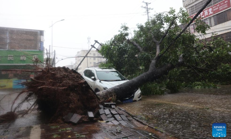 A fallen tree causes traffic jam on a street in Qinzhou, south China's Guangxi Zhuang Autonomous Region, on July 18, 2023. Typhoon Talim, the fourth typhoon this year, landed in the coastal area of south China's Guangxi Zhuang Autonomous Region early Tuesday, the typhoon's second landfall in China after it first landed in Guangdong Province on Monday night.(Photo: Xinhua)