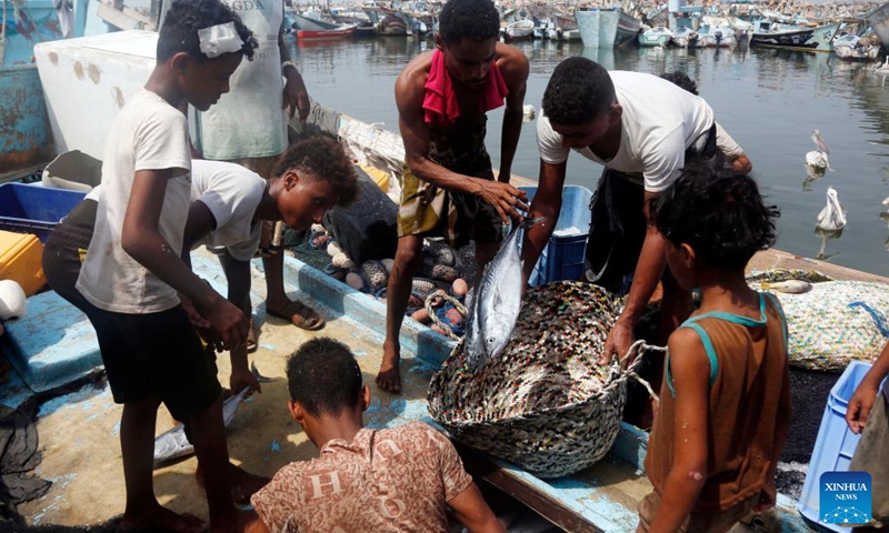 Fishermen unload freshly-caught fish at a fish port in Hodeidah Province, western Yemen, on July 16, 2023.(Photo: Xinhua)