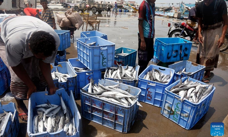 Fishermen transfer freshly-caught fish at a fish port in Hodeidah Province, western Yemen, on July 16, 2023.(Photo: Xinhua)