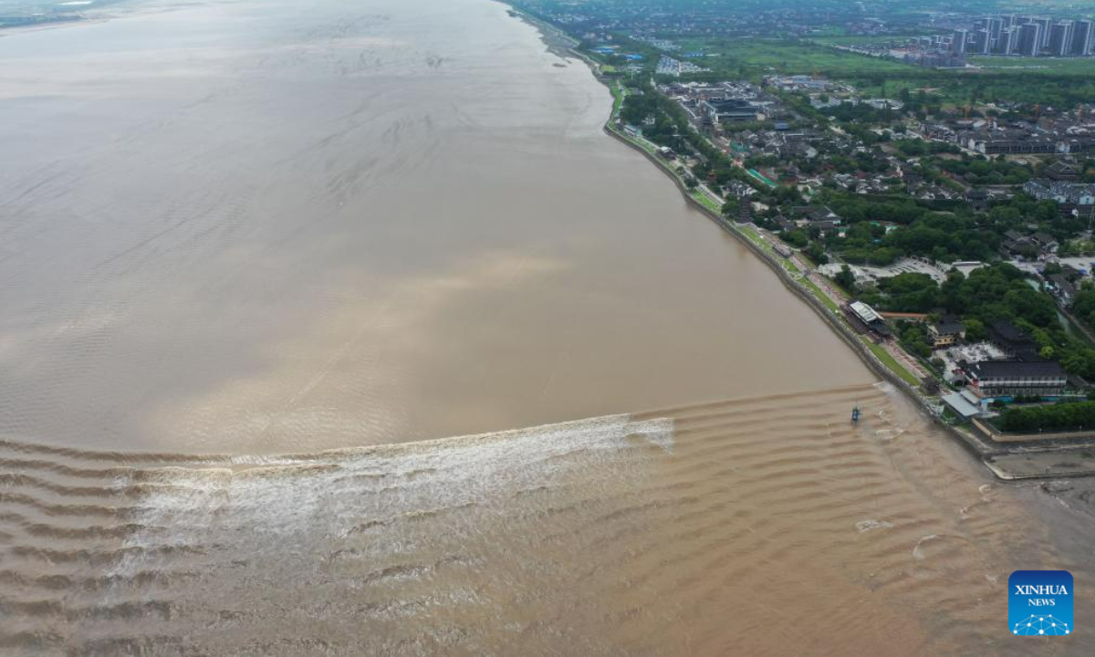 This aerial photo taken on Aug. 4, 2023 shows waves caused by the Qiantang River tidal bore in Yanguan Township of Haining City, east China's Zhejiang Province. Photo:Xinhua