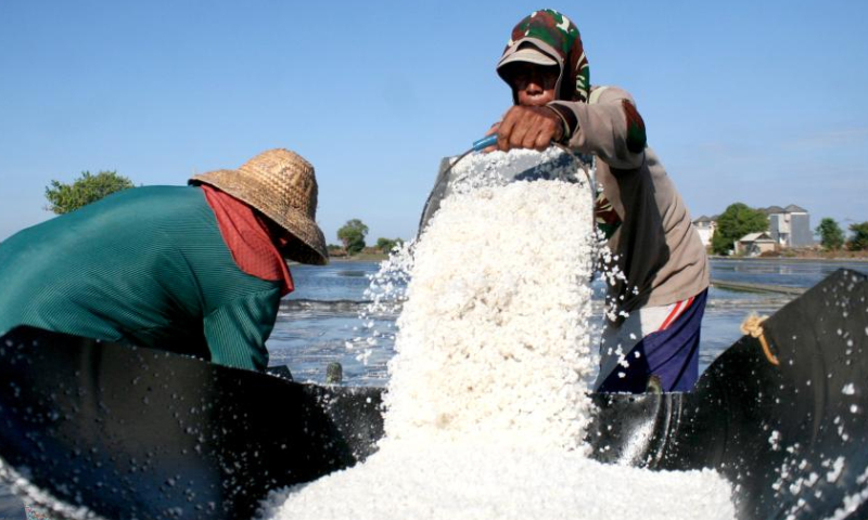 Farmers harvest salt in Tambak Cemandi village in Sidoarjo, East Java, Indonesia, July 31, 2023. (Photo by Sahlan Kurniawan/Xinhua)