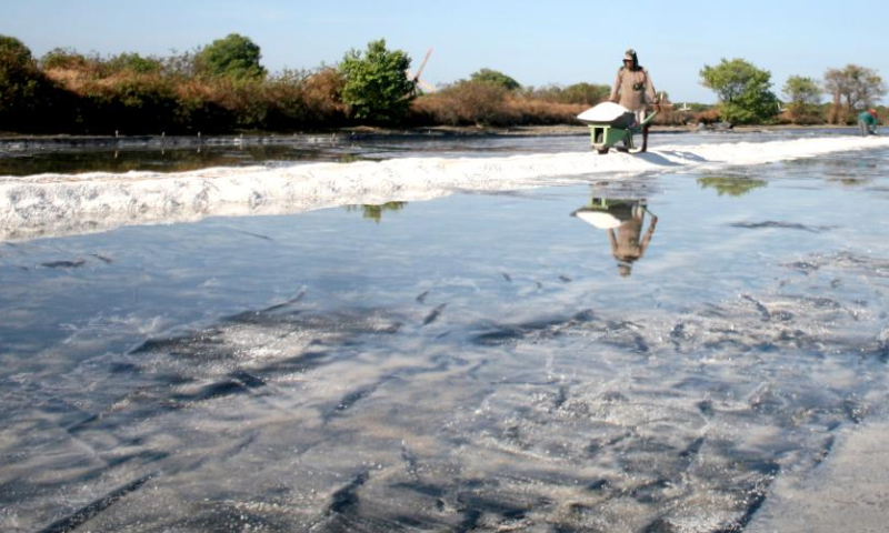 A farmer holds a cart carrying harvested salt in Tambak Cemandi village in Sidoarjo, East Java, Indonesia, July 31, 2023. (Photo by Sahlan Kurniawan/Xinhua)