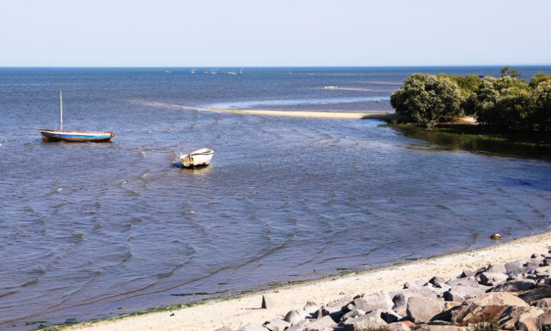 This photo taken on July 29, 2023 shows mangroves along the sea in Maputo, Mozambique. The Republic of Mozambique is located in southeastern Africa, bordering the Indian Ocean to the east. The tourism here is based on the historical sites, national parks, and nature reserves, with a focus on seaside vacations and eco-tourism. It has always been one of the popular choices for tourists to travel to Africa. (Xinhua/Dong Jianghui)