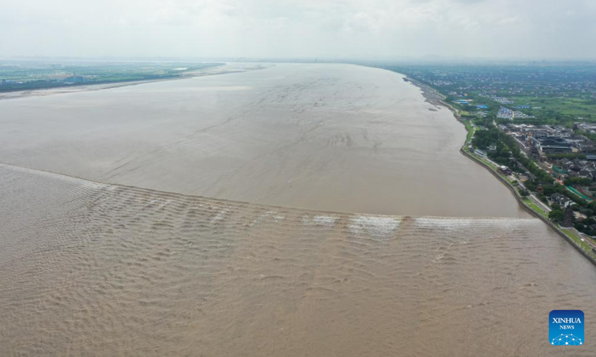 This aerial photo taken on Aug. 4, 2023 shows waves caused by the Qiantang River tidal bore in Yanguan Township of Haining City, east China's Zhejiang Province. Photo:Xinhua