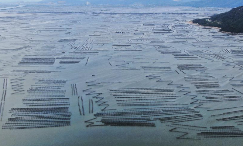 This aerial photo taken on July 28, 2023 shows marine net cages in Raoping County in Chaozhou, south China's Guangdong Province. Raoping County has a long history of aquaculture. By 2022, the county has aquaculture area of 179,000 mu (about 11,933 hectares) and more than 100 aquatic products enterprises with about 4,200 employees. (Xinhua/Wang Ruiping)

