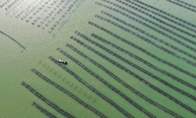 This aerial photo taken on July 28, 2023 shows marine net cages in Raoping County in Chaozhou, south China's Guangdong Province. Raoping County has a long history of aquaculture. By 2022, the county has aquaculture area of 179,000 mu (about 11,933 hectares) and more than 100 aquatic products enterprises with about 4,200 employees. (Xinhua/Wang Ruiping)

