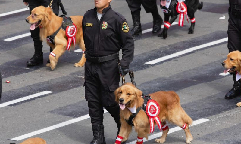 Police and police dogs attend a parade to mark the 202nd anniversary of the independence of Peru in Lima, Peru, July 29, 2023. (Xinhua/Mariana Bazo)