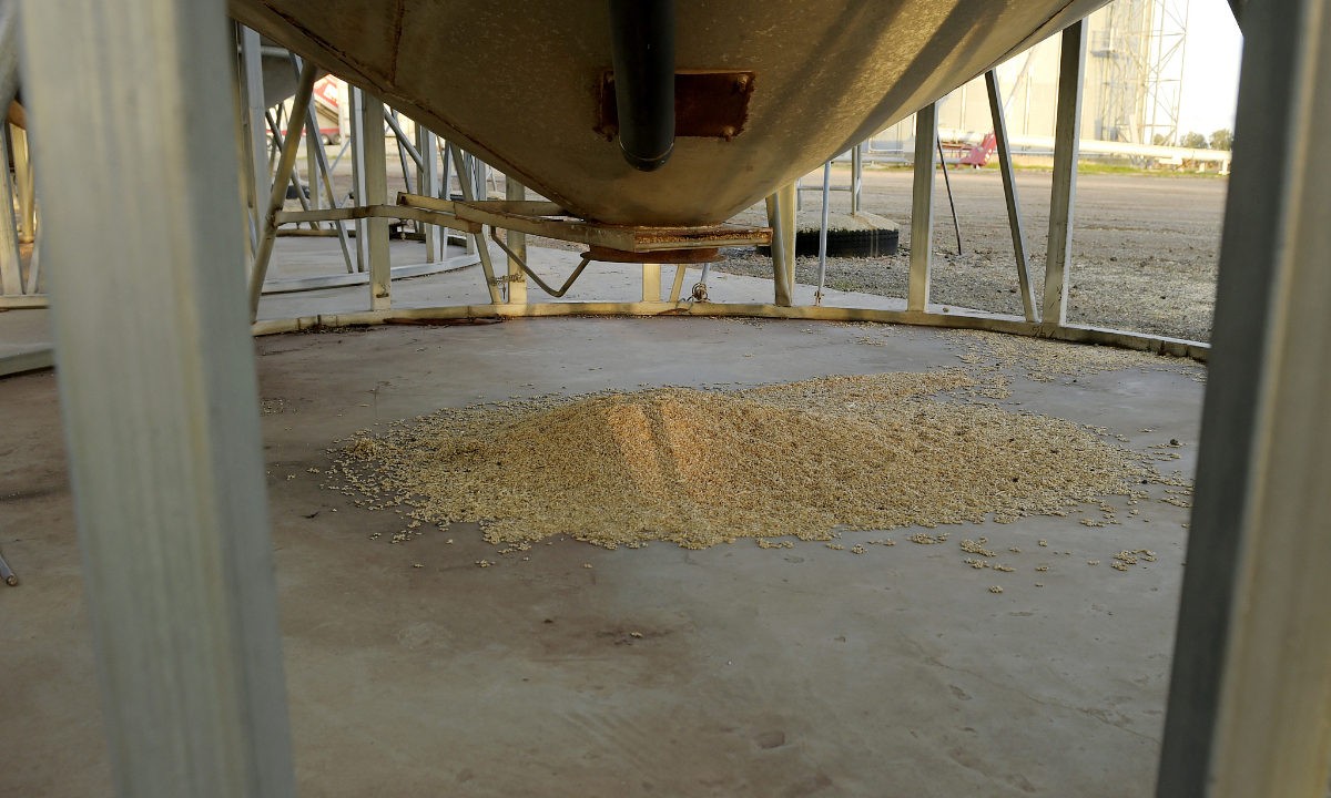 A pile of barley sits beneath a silo at a grain facility in Balliang, Victoria, Australia, on May 18, 2020. Photo: VCG