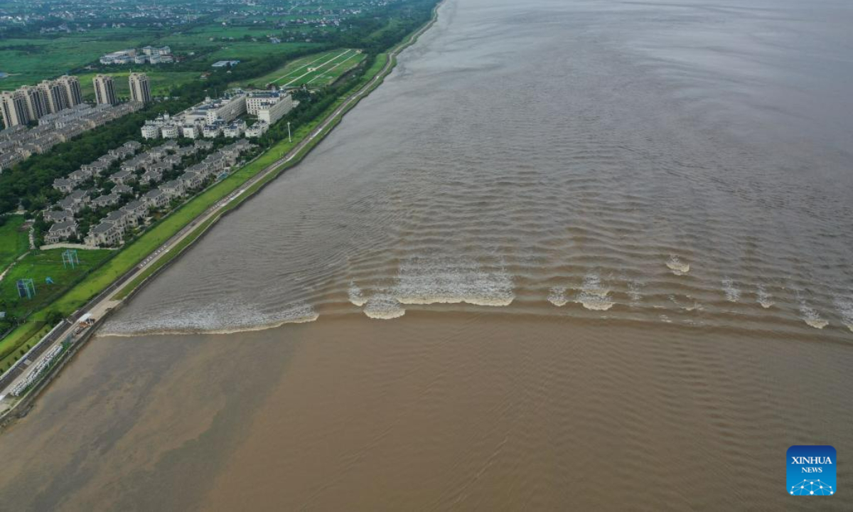 This aerial photo taken on Aug. 4, 2023 shows waves caused by the Qiantang River tidal bore in Yanguan Township of Haining City, east China's Zhejiang Province. Photo:Xinhua