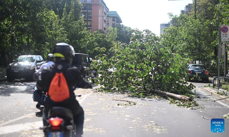 A fallen tree is seen on a road after thunderstorms in Milan, Italy, on July 25, 2023. While the southern two-thirds of Italy struggled under the oppressive heat, most of the northern area was pelted by thunderstorms and over-sized hail. Media reports said the emergency services in Milan had responded to more than 200 requests for help related to flooding, fallen trees, and damage to cars and homes, since a severe storm hit the city late Monday. (Str/Xinhua)