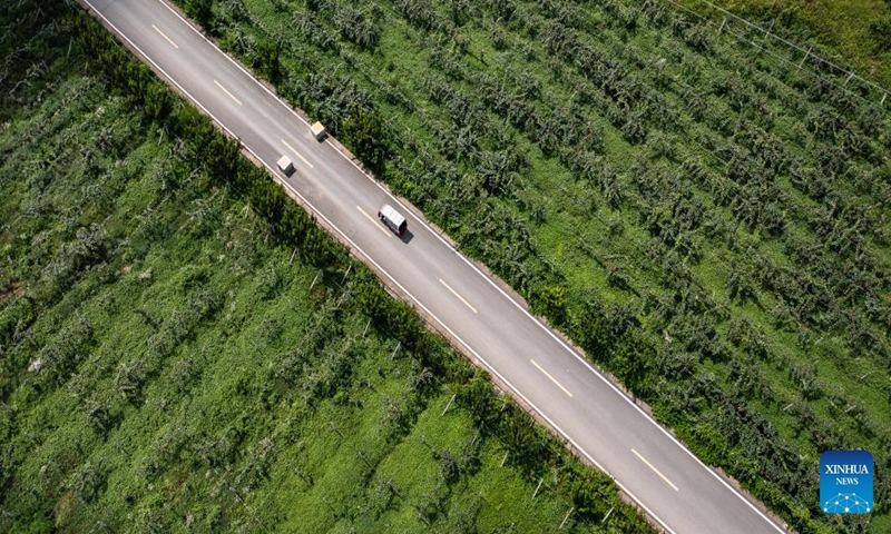 This aerial photo taken on July 24, 2023 shows a road in Langdai Township, southwest China's Guizhou Province.

In recent years, Guizhou Province has continued to promote the construction of rural roads, boosting local economy. (Xinhua/Tao Liang)