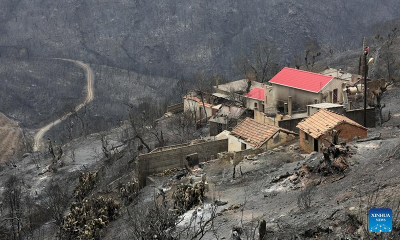 Photo taken on July 25, 2023 shows an area burned in a wildfire in Bejaia Province, Algeria. The death toll from wildfires in northern Algeria has risen to 34, including 10 soldiers, the Interior Ministry said in an update on Monday. The fires started overnight on Sunday mainly in the provinces of Bejaia, Jijel, and Bouira, but quickly spread due to strong winds, causing significant damage. (Xinhua)