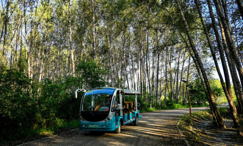 A sightseeing electric vehicle moves at the Tao'erhe National Wetland Park in Ulanhot City, north China's Inner Mongolia Autonomous Region, Aug. 13, 2023. (Xinhua/Peng Yuan)