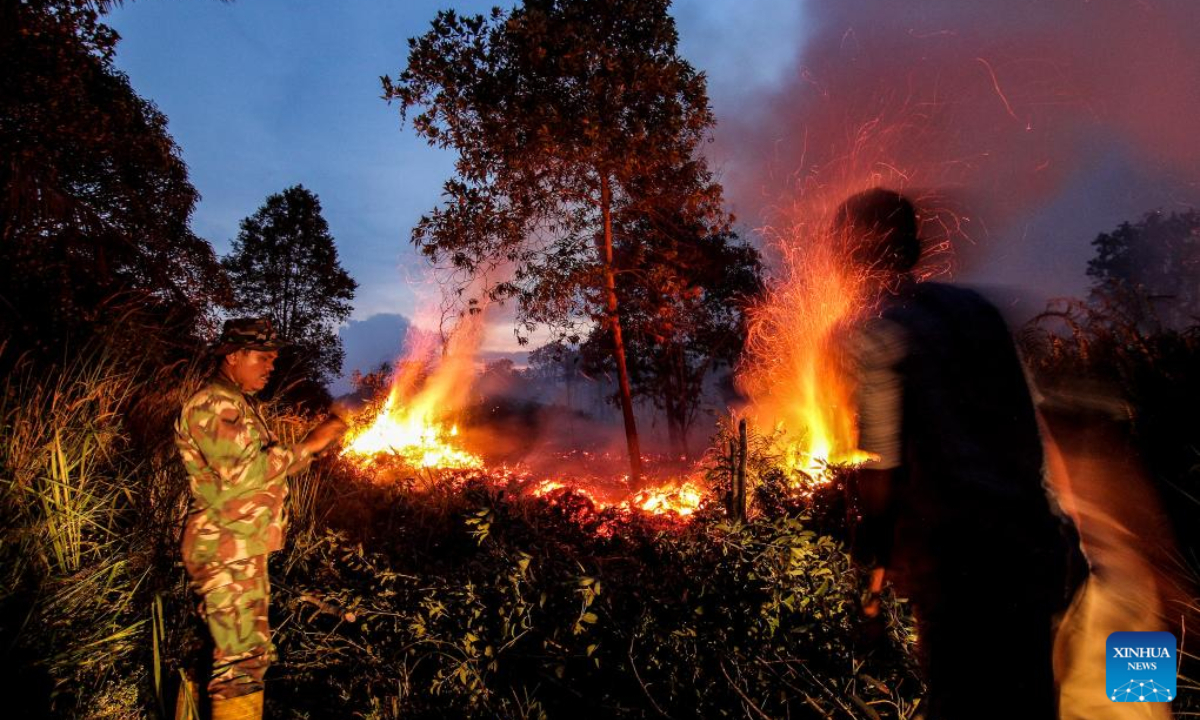 Officials try to extinguish peatland fire at Rimbo Panjang village in Kampar district, Riau Province, Indonesia on Aug 10, 2023. Indonesia is bracing for more forest and peatland fires from a drier and hotter season due to the El Nino phenomenon. Photo:Xinhua