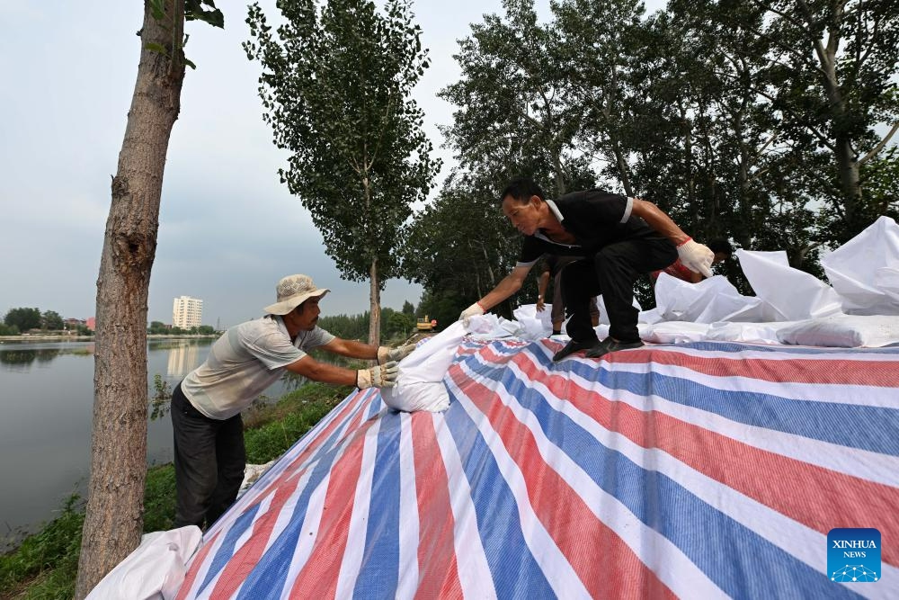 Anti-flood personnel reinforce a dike in Jinghai District, north China's Tianjin Municipality, Aug. 10, 2023. Local authorities have continued the flood control and disaster relief efforts at the Taitou section of the Daqinghe River in Jinghai District of north China's Tianjin Municipality, preparing the district for any emergency.(Photo: Xinhua)