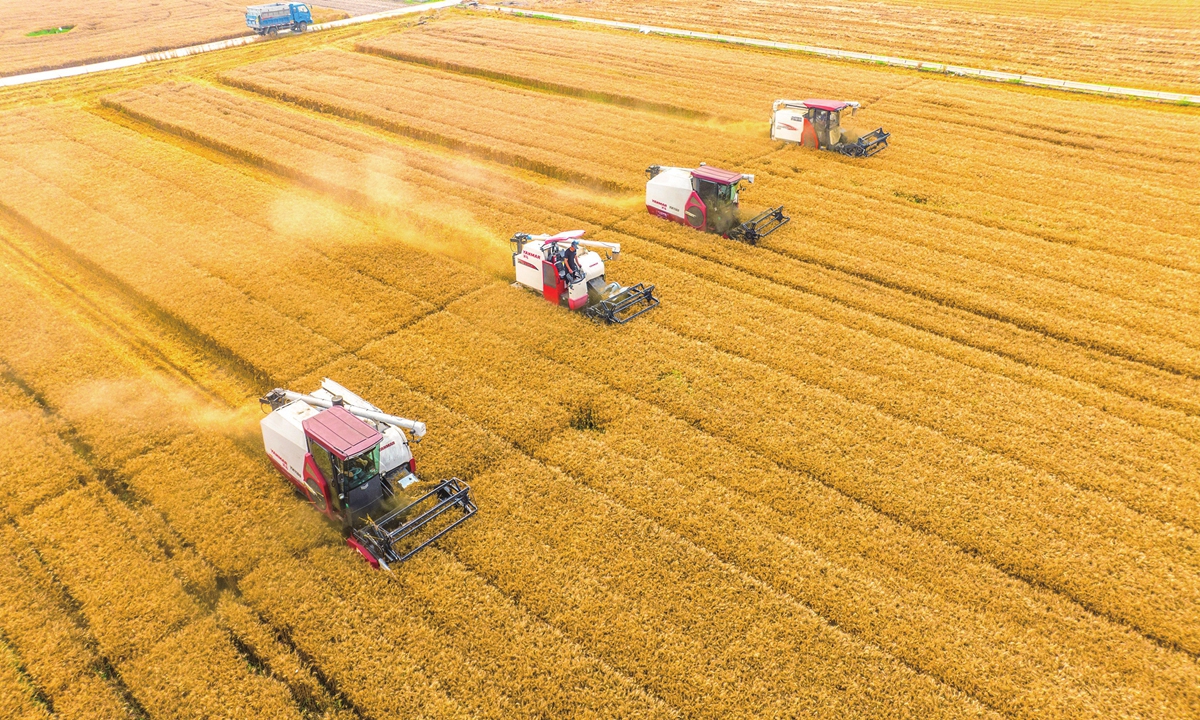 Farmers drive machines to harvest wheat in Hai'an city, East China's Jiangsu Province on June 7, 2023.?Photo: IC