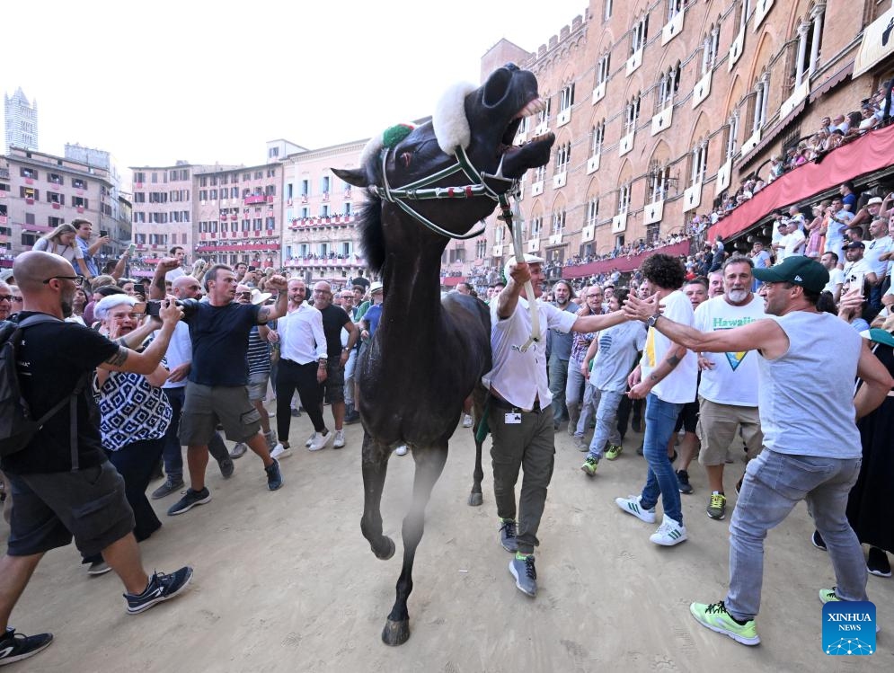 People celebrate with the winner horse during the Palio in Siena, Italy, on Aug.16, 2023. Palio in Siena, or Palio di Siena in Italian, is a historical horse race held twice a year in Siena since 1656.(Photo: Xinhua)