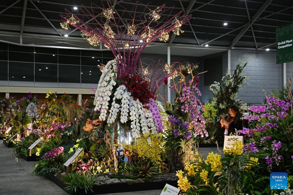 People visit the orchid show during the 14th Asia Pacific Orchid Conference in Singapore Expo, Singapore on Aug. 16, 2023. The 14th edition of the Asia Pacific Orchid Conference (APOC) is held from Aug. 16 to 20 at the Singapore Expo.(Photo: Xinhua)