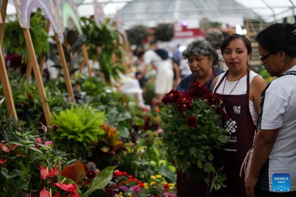 People visit the Summer Flower Festival in Mexico City, Mexico, Aug. 14, 2023. The festival, which opened here Monday, will conclude on Aug. 27.(Photo: Xinhua)