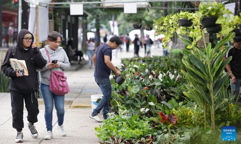 People visit the Summer Flower Festival in Mexico City, Mexico, Aug. 14, 2023. The festival, which opened here Monday, will conclude on Aug. 27.(Photo: Xinhua)