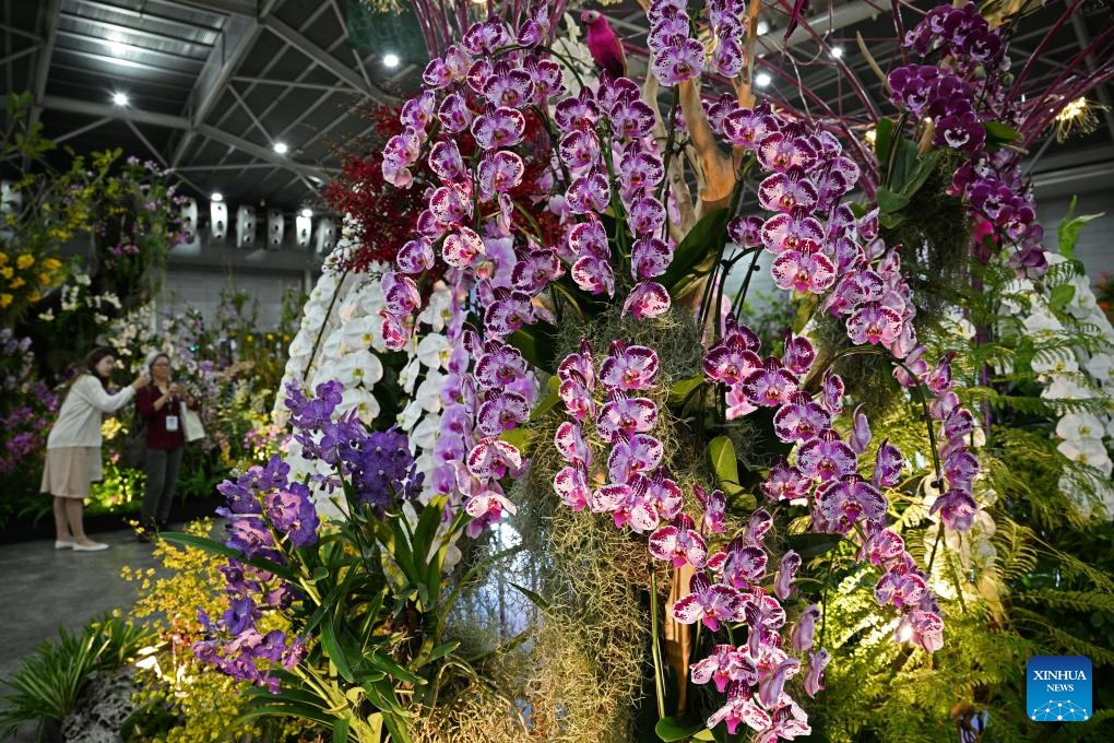 People visit the orchid show during the 14th Asia Pacific Orchid Conference in Singapore Expo, Singapore on Aug. 16, 2023. The 14th edition of the Asia Pacific Orchid Conference (APOC) is held from Aug. 16 to 20 at the Singapore Expo.(Photo: Xinhua)