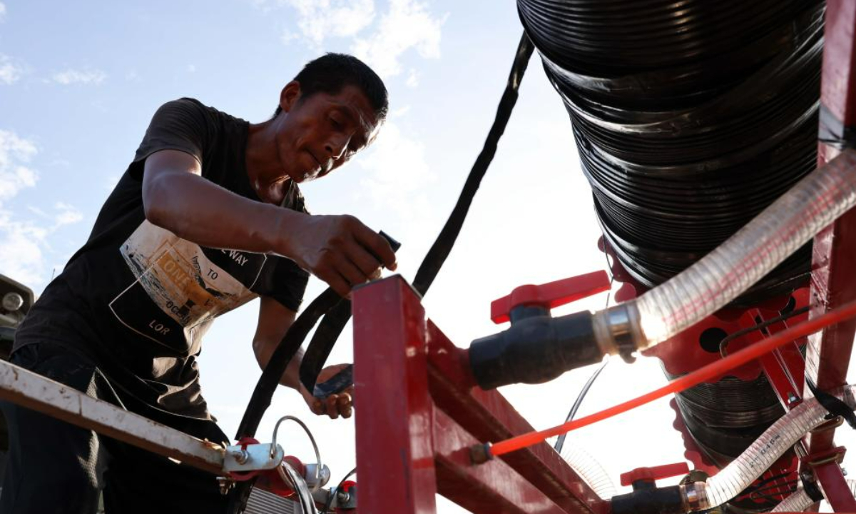 A worker installs the drip irrigation tape in Pangezhuang Village of Diaowo Township, Zhuozhou City, north China's Hebei Province, Aug 18, 2023. Photo:Xinhua