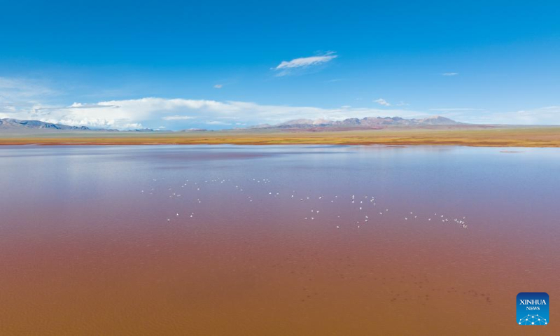 This aerial photo taken on Aug. 26, 2023 shows scenery of a lake in Ngari Prefecture, southwest China's Tibet Autonomous Region. (Photo by Tenzin Norbu/Xinhua)