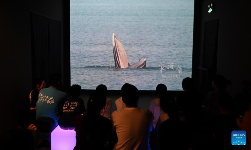 People watch a video at a whale-themed exhibition of National Maritime Museum of China in north China's Tianjin Municipality, Aug. 26, 2023. (Xinhua/Sun Fanyue)