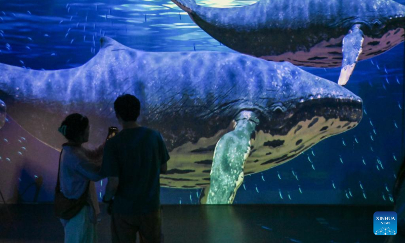 People view virtual whales at a whale-themed exhibition of National Maritime Museum of China in north China's Tianjin Municipality, Aug. 26, 2023. (Xinhua/Sun Fanyue)