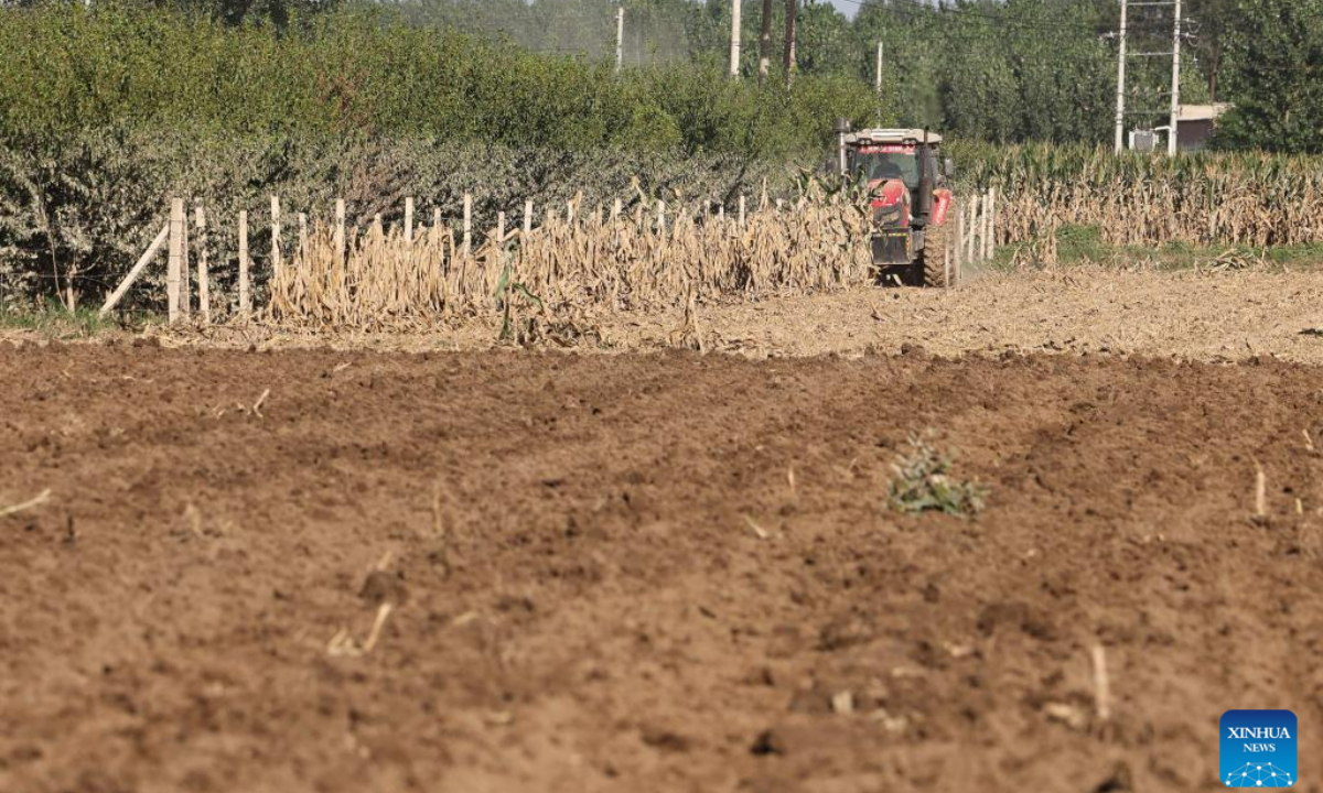 A farmer works in the field with agricultural machinery in Baimazhuang Village of Douzhuang Township, Zhuozhou City, north China's Hebei Province, Aug 18, 2023. Photo:Xinhua