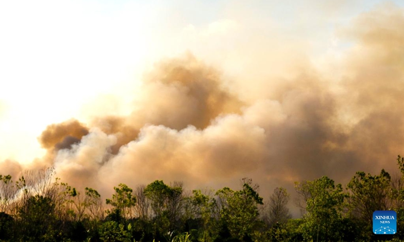 This photo taken on Aug. 20, 2023 shows thick smoke of a peatland fire at Bukit Tunggal village in Palangkaraya, Central Kalimantan, Indonesia. (Photo by Deny Krisbiantoro/Xinhua)