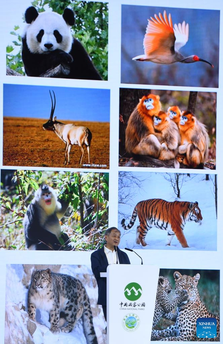 Wei Fuwen, an academician with the Chinese Academy of Sciences, speaks at the second National Park Forum held in Xining, capital of northwest China's Qinghai Province, Aug. 19, 2023. Themed National Park -- Beautiful Homeland of Harmonious Coexistence, the second National Park Forum was held here on Saturday. Photo: Xinhua