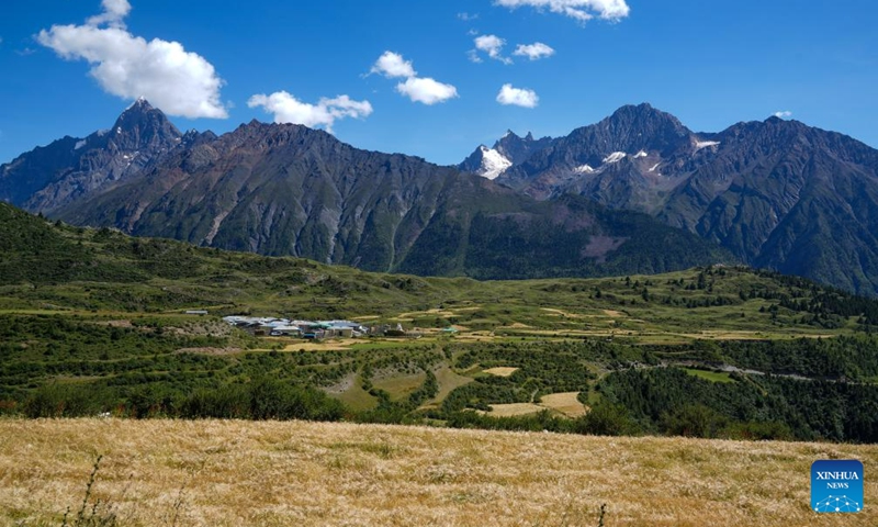 This photo shows a highland barley field in Banbar County, southwest China's Tibet Autonomous Region, Aug. 18, 2023. At present, highland barley and pasture in Banbar have entered the harvest season. (Xinhua/Jiang Fan)