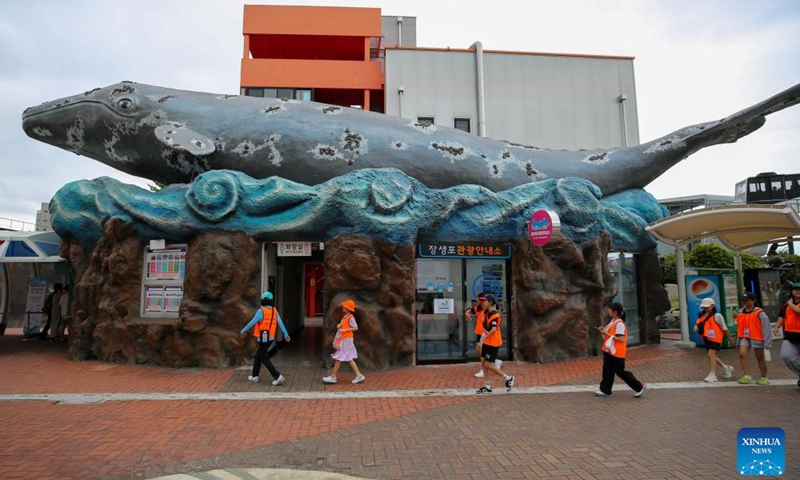 This photo taken on Aug. 18, 2023 shows a whale statue outside Jangsaengpo Whale Museum in Ulsan, South Korea. (Xinhua/Wang Yiliang)