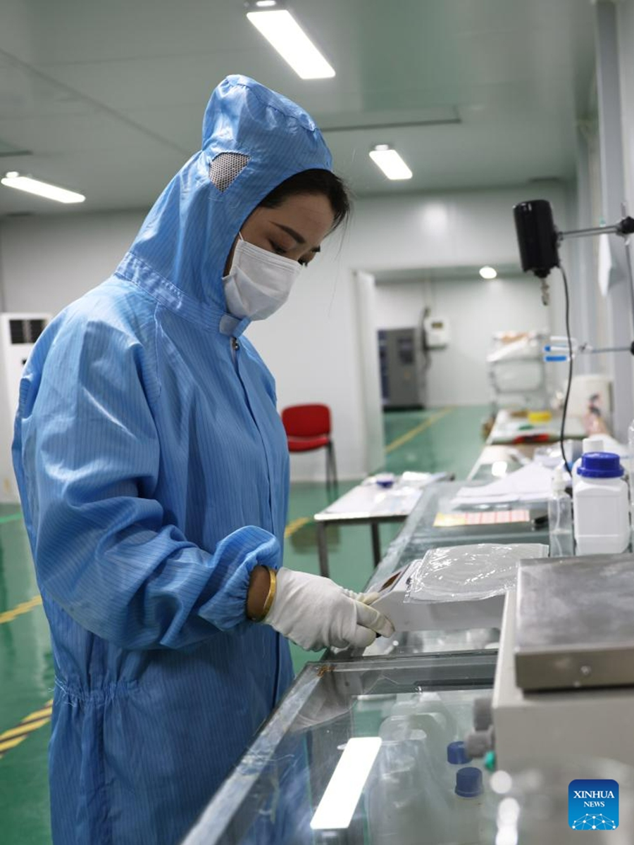 A worker weighs a sample at the workshop of an electronic products company in Zhuozhou City, north China's Hebei Province, Aug. 19, 2023. At present, the post-disaster recovery and reconstruction work is intensively carried out in Zhuozhou City. The local government has been speeding up the repair of infrastructure and assisting enterprises to resume production. (Xinhua/Luo Xuefeng)