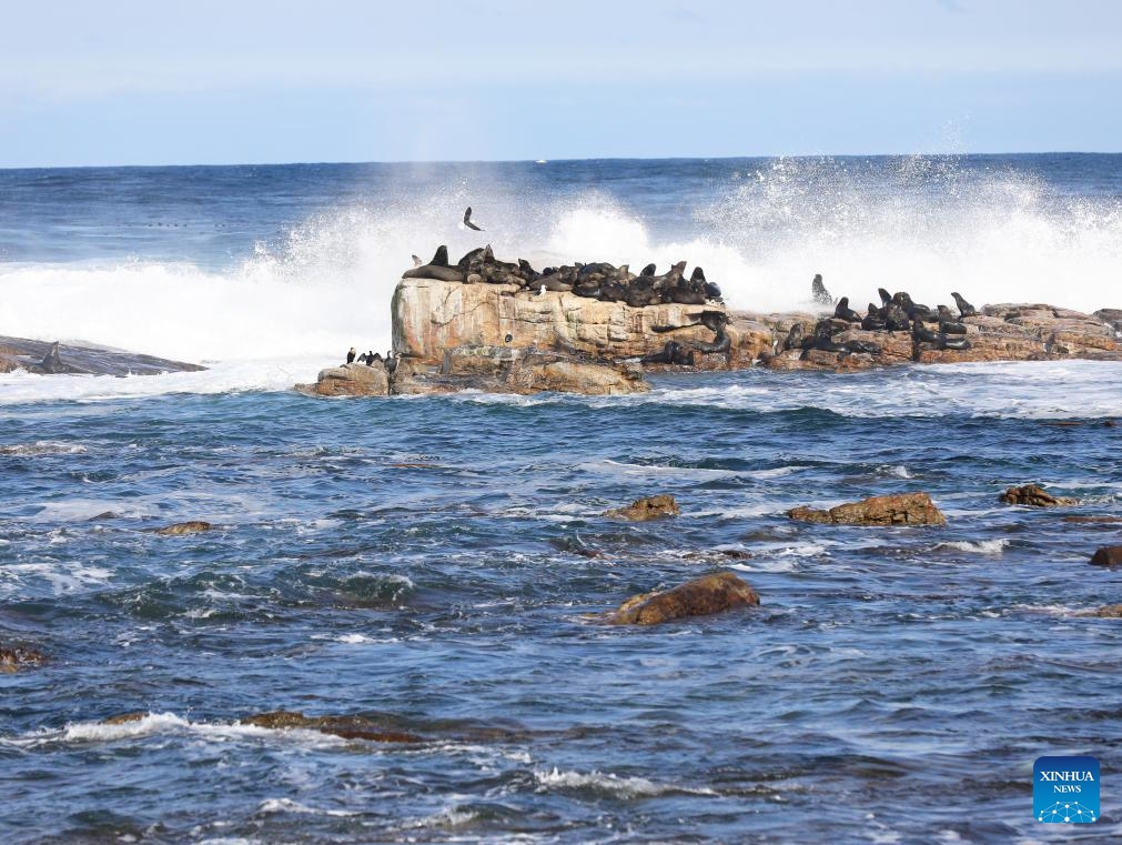 This photo taken on Aug. 12, 2023 shows a view of the Cape of Good Hope in Cape Town, South Africa.(Photo: Xinhua)