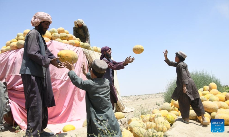 Farmers load newly-harvested melons onto a truck in Kandahar province, Afghanistan, Aug. 21, 2023. Afghan authorities have been committed to investing in the agricultural sector to create jobs and boost the country's economy.(Photo: Xinhua)