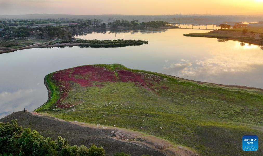 This aerial photo taken on Aug. 20, 2023 shows sunrise scenery at Luhe River in Jingbian County, Yulin City of northwest China's Shaanxi Province. Luhe River, dubbed a mother river in Jingbian County, plays an important role in agricultural production in northern Shaanxi.(Photo: Xinhua)