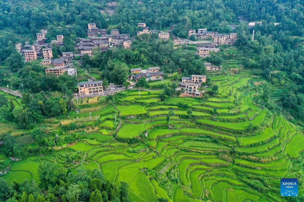 This aerial photo taken on Aug. 20, 2023 shows a view of Huatian Township, Youyang Tujia and Miao Autonomous County, southwest China's Chongqing Municipality. Youyang, one of the key beneficiary counties of state assistance for rural revitalization, has been fully availing of its unique advantages in ecological environment and indigenous tradition to promote converged development of agriculture, culture, and tourism.(Photo: Xinhua)