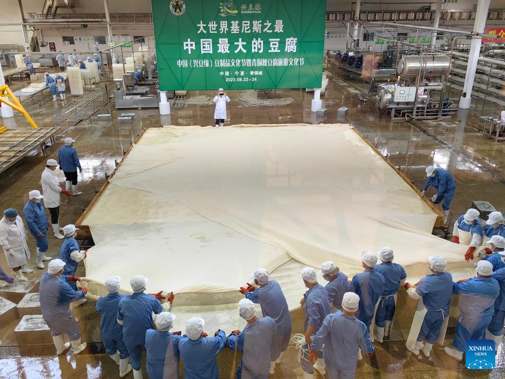 People make tofu during the Tofu Culture Tourism Festival held in Qingtongxia City, northwest China's Ningxia Hui Autonomous Region, Aug. 23, 2023.(Photo: Xinhua)