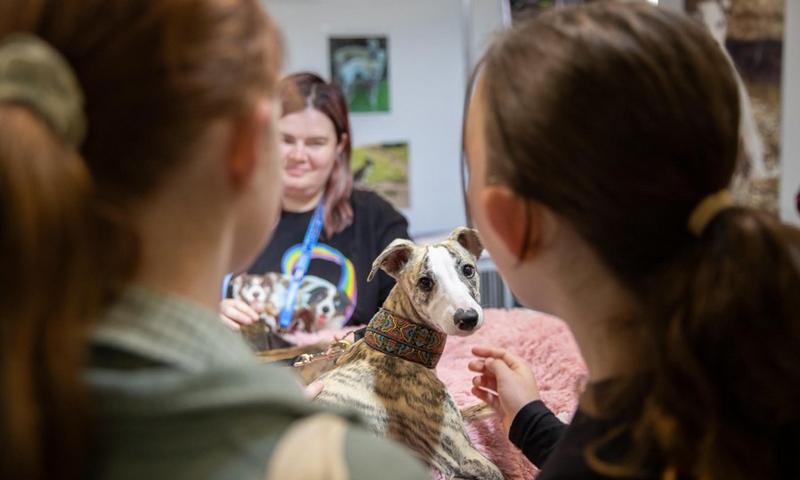 Visitors fondle a dog during the Dog Lovers' Festival in Sydney, Australia on Aug. 26, 2023. Photo: Xinhua