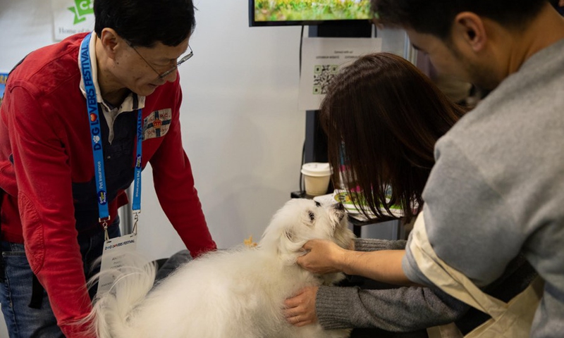 Visitors fondle a dog during the Dog Lovers' Festival in Sydney, Australia on Aug. 26, 2023. Photo: Xinhua