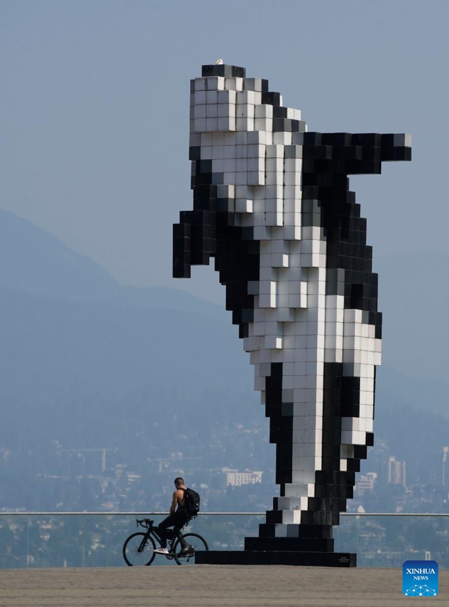 A man is seen with buildings shrouded in haze in downtown Vancouver, British Columbia, Canada, Aug. 26, 2023. The Metro Vancouver continued an air quality advisory for the metro Vancouver region on Saturday due to high concentration of fine particulate matter caused by smoke from wildfires spreading across British Columbia. Photo: Xinhua