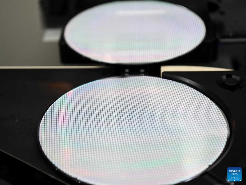 This photo taken on Aug. 24, 2023 shows semiconductor wafer products at a company in the Western Science City in southwest China's Chongqing Municipality. In recent years, Chongqing's Western Science City has vigorously implemented the intelligent manufacturing cultivation project, guiding enterprises to accelerate the intelligent transformation and digital transformation and upgrading, and helping local industries to improve quality and efficiency. (Xinhua/Wang Quanchao)