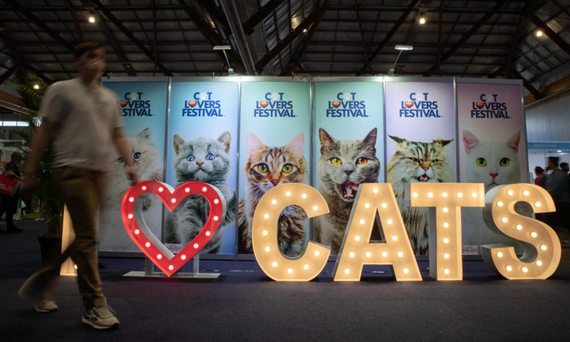 The Cat Lovers' Festival is staged in Sydney, Australia on Aug. 26, 2023. Photo: Xinhua