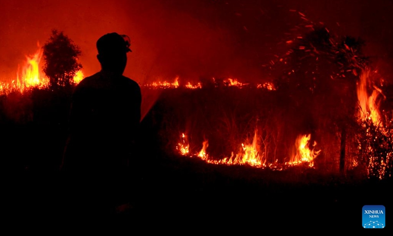 An official from local disaster management agency stands near a peatland fire at Tanjung Seteko village in Ogan Ilir district, South Sumatra, Indonesia on Aug. 27, 2023.(Photo: Xinhua)