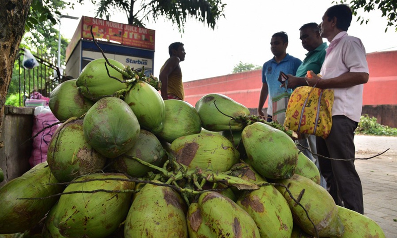 People buy coconuts from a roadside vendor on World Coconut Day, in Morigaon district of India's northeastern state of Assam, Sept. 2, 2023. Photo: Xinhua