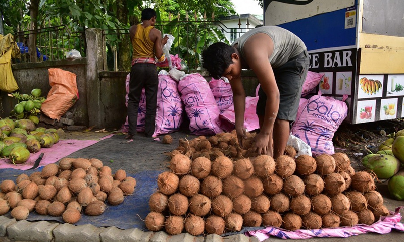 A roadside vendor sells coconuts in Morigaon district of India's northeastern state of Assam, Sept. 2, 2023. Photo: Xinhua